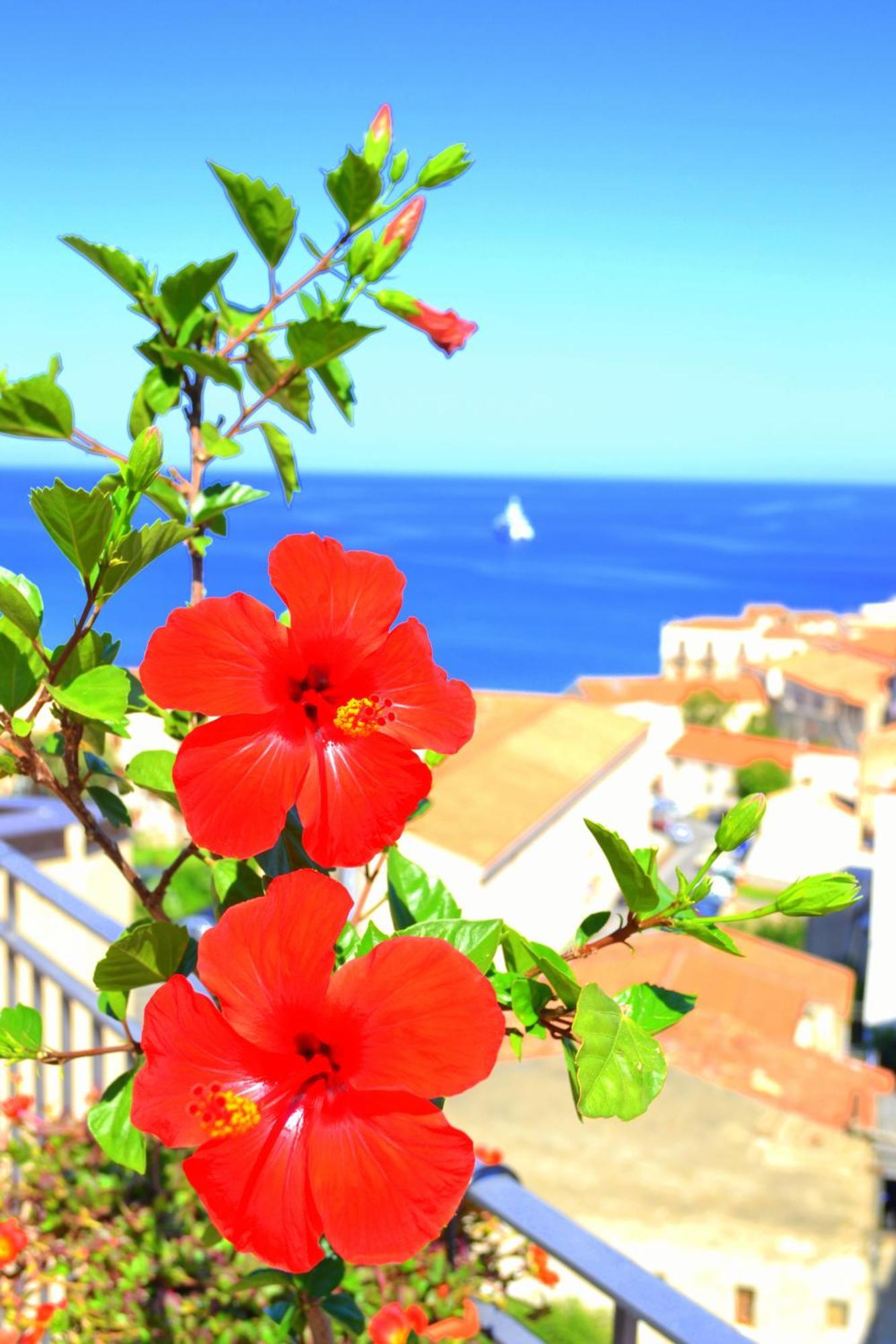 Scirocco Bed and Breakfast Cefalù Eksteriør billede